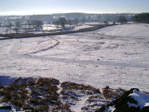 Snowy Bradgate Park